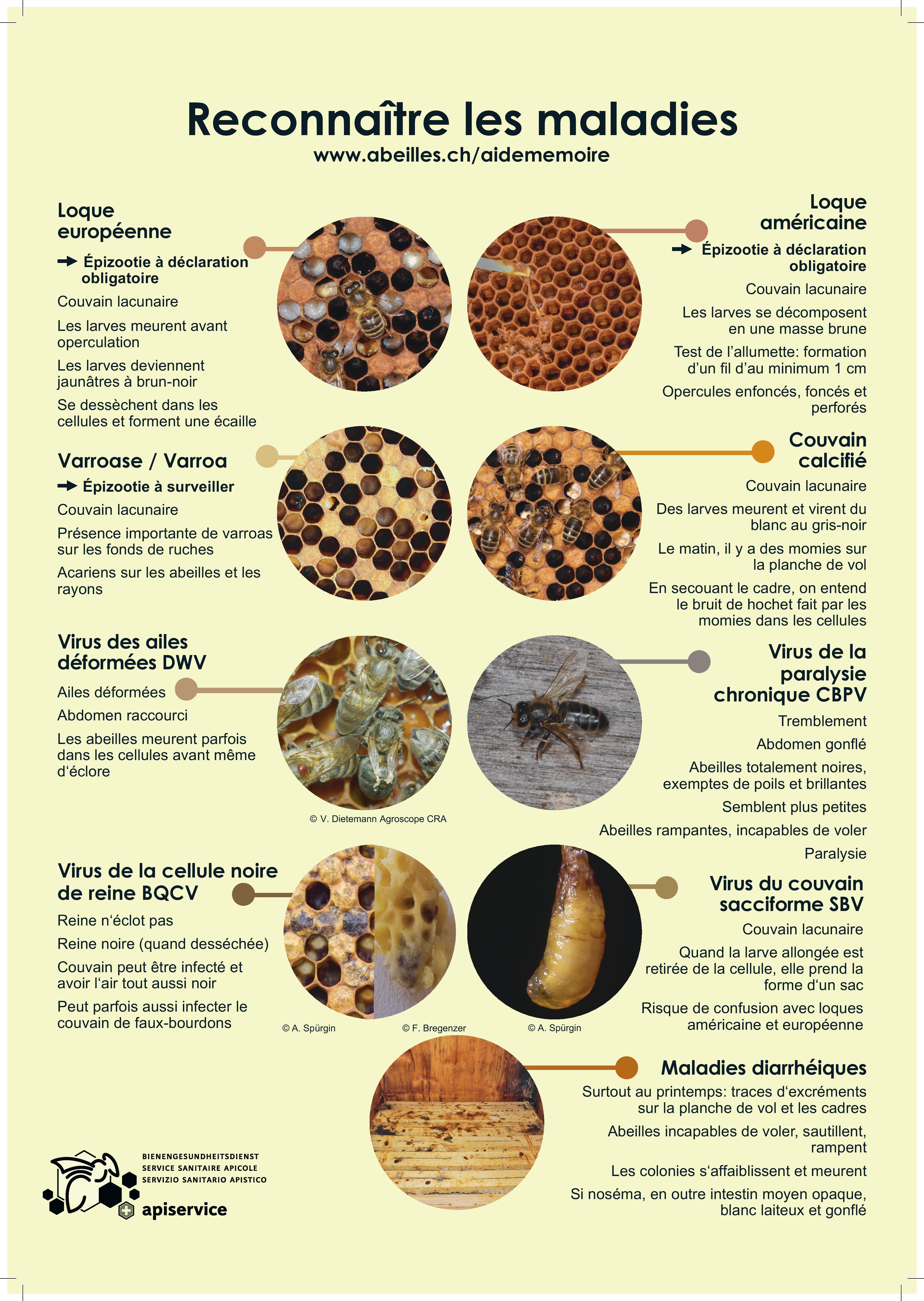 1665558881-Reconnaitre les maladies-1-1-page-001