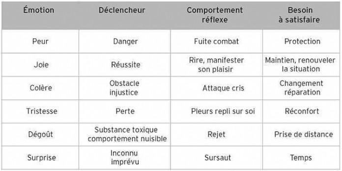 Role-emotions-Definition-enjeux-marketing-LE