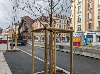 Végétalisation urbaine