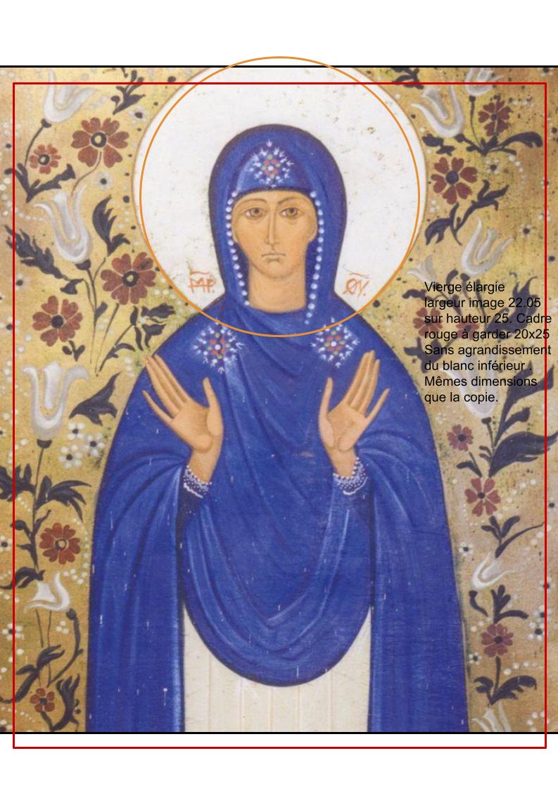 Vierge joelle 1