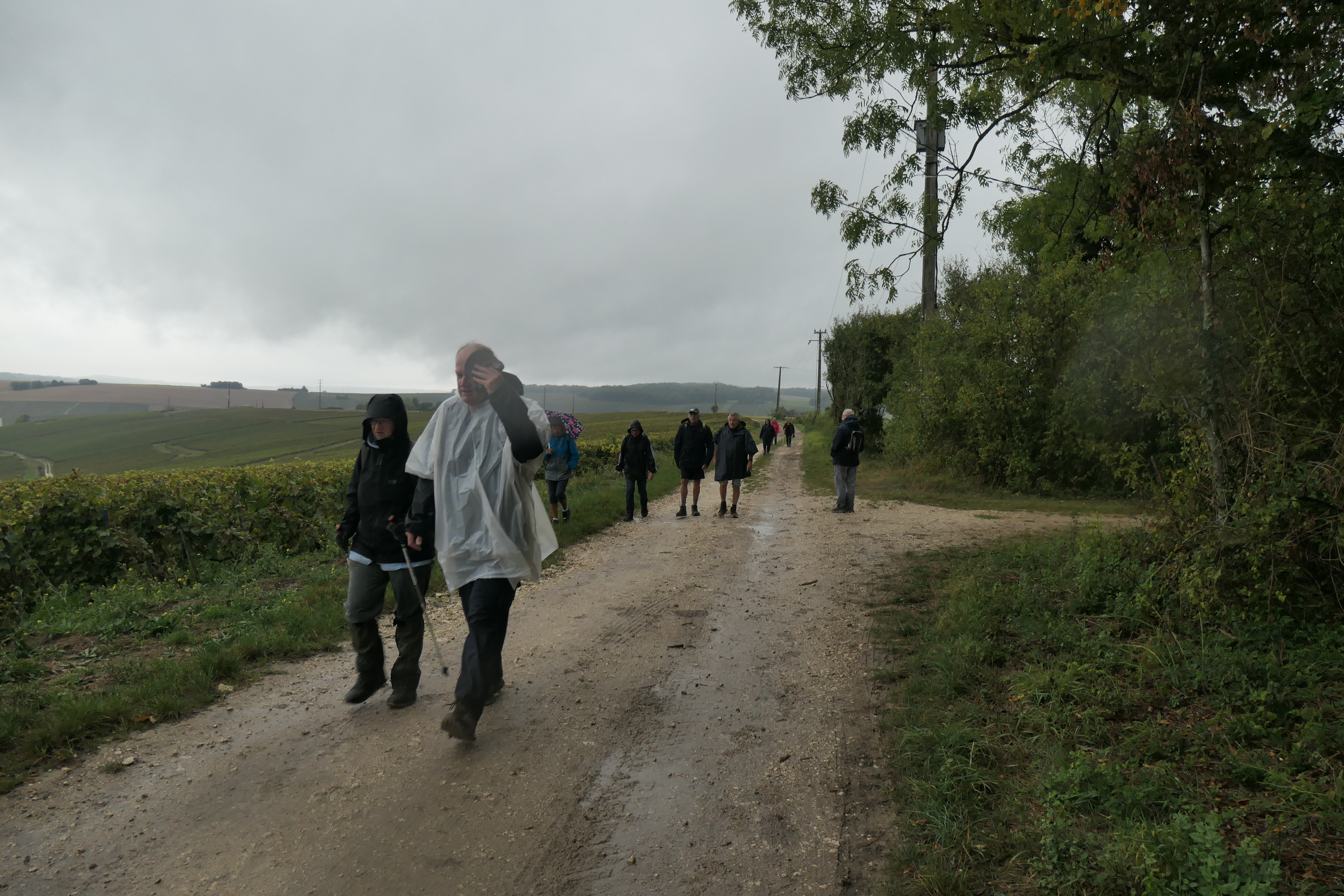 P1000562