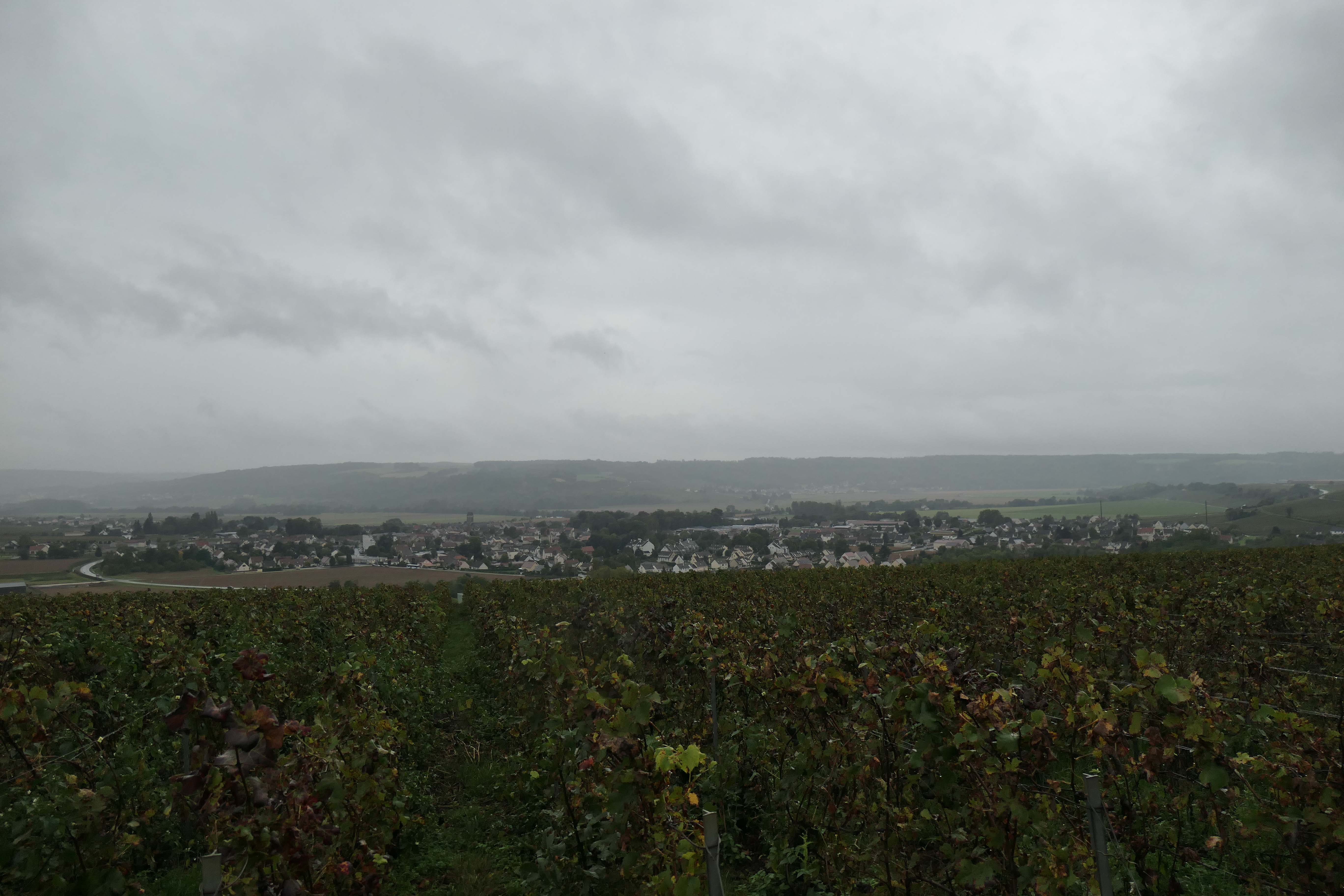 P1000558
