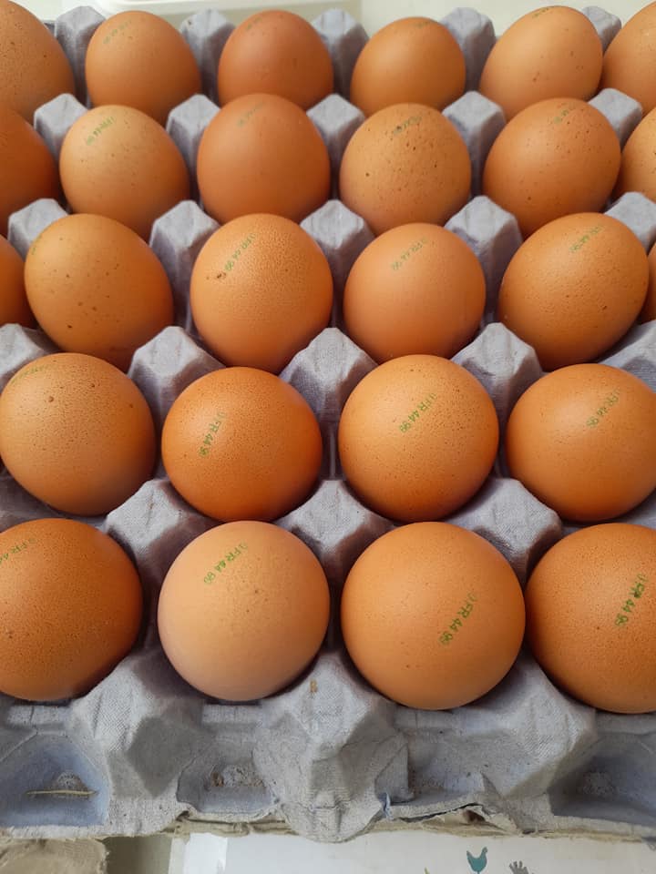 Oeufs