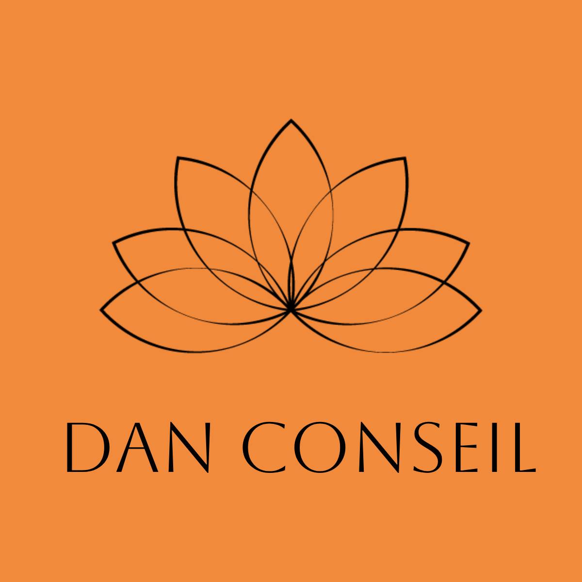 Logo-Dan-Conseil
