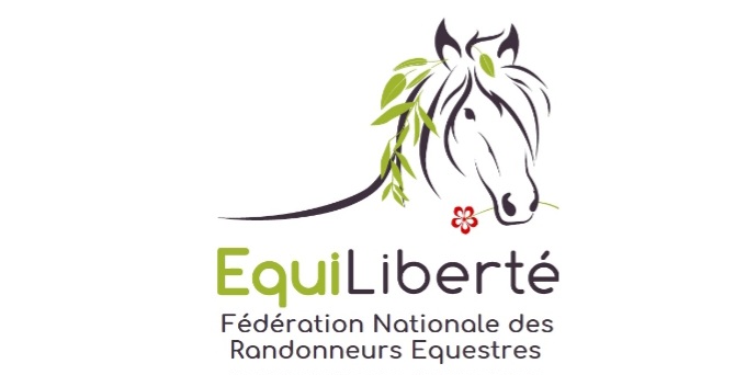 Screenshot 20230709 151338 chrome