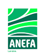 Logo-anefa