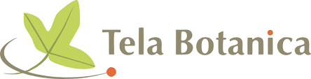 Logo-TelaBotanica-1
