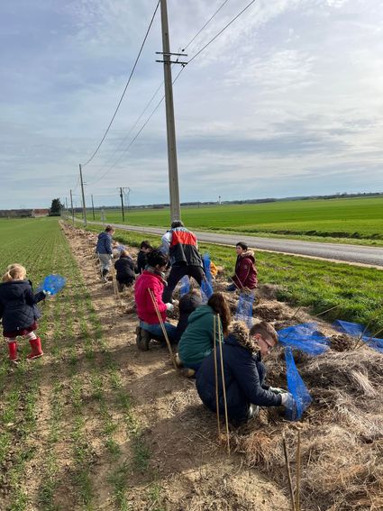 Plantation de haies à Cungy