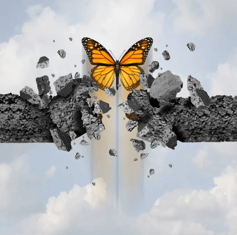 🌱 Cultivating Letting Go: Finding the Balance Between Control and Serenity 🌿
