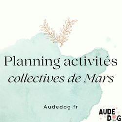 Planning des activités collectives de Mars