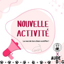 Une nouvelle activité débarque chez Aude Dog !