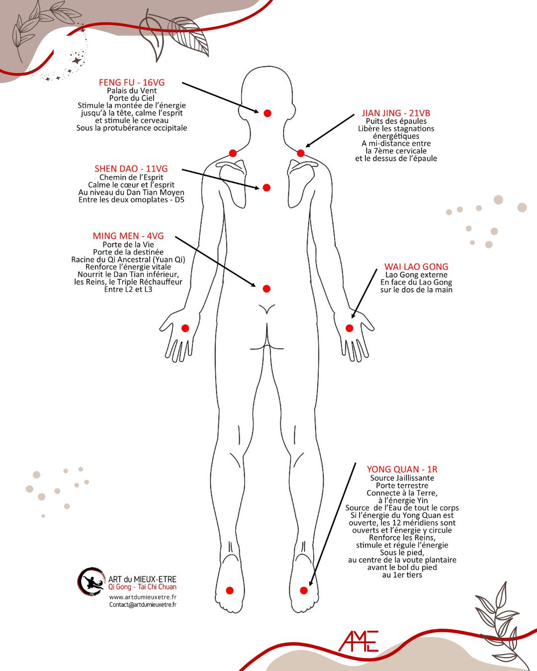 Points energetiques en qigong et taichi artdumieuxetre bourgoin 2