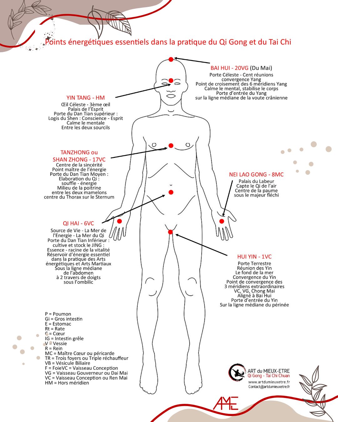 Points energetiques en qigong et taichi artdumieuxetre bourgoin 1