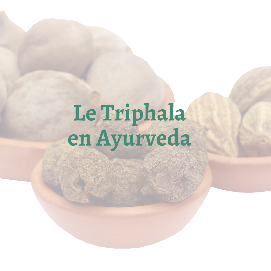Le triphala en Ayurveda