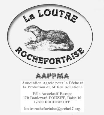 Logo-Loutre-avec-adresse