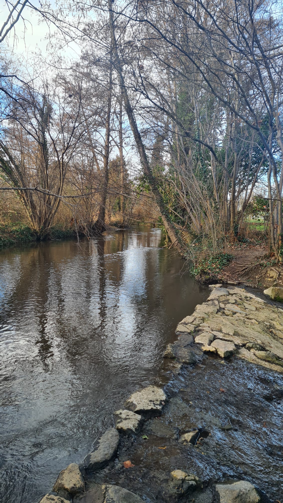 2599bd0b 8739 432a 9e80 1ebac5d1fdb4