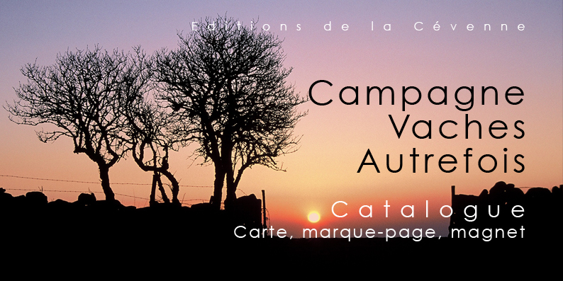 Campagne-cevenne-morel 1