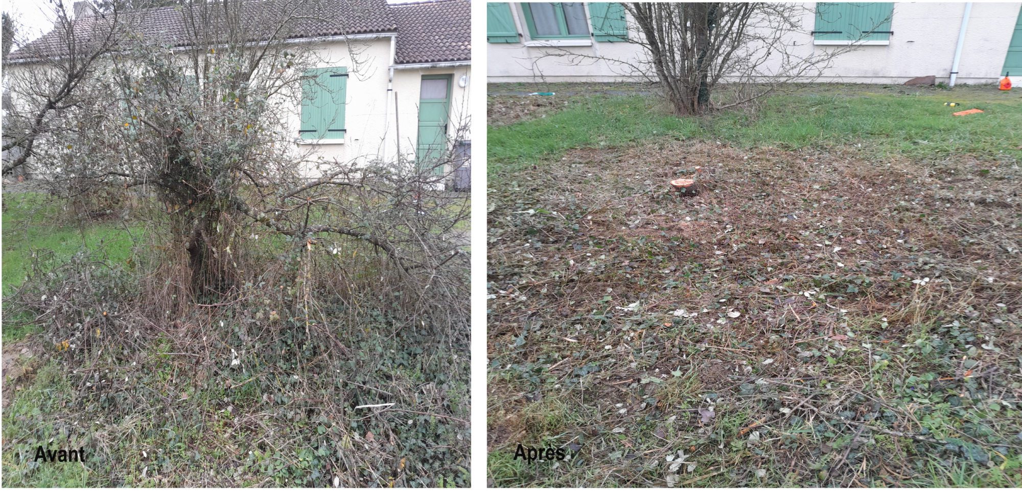 Photo-0324-1