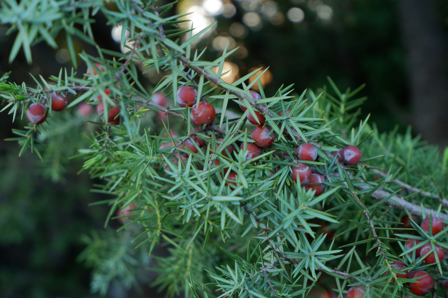 Capture d ecran 2023 07 31 122420