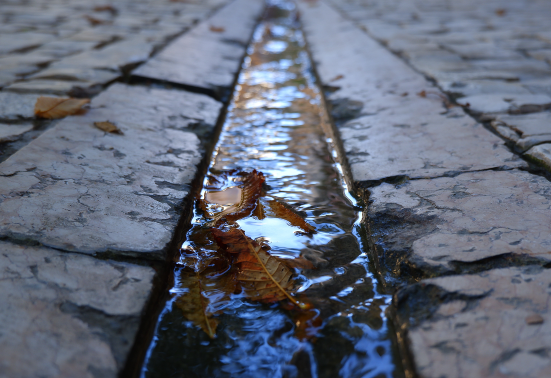 Capture d ecran 2024 03 10 144947