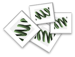 Photo-spiru-site