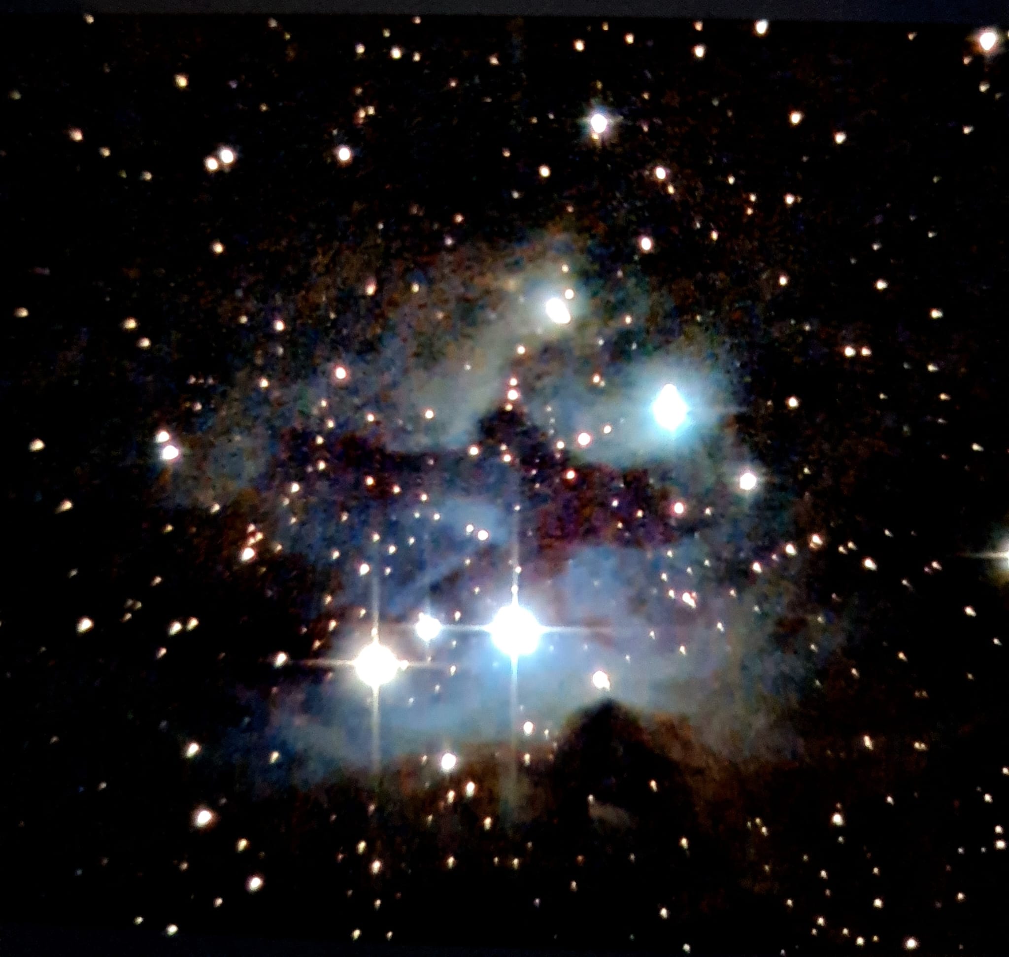 31 01 2024 2 