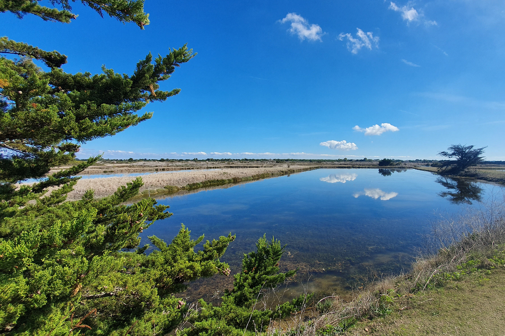 20221004 140644-Ile-de-Re