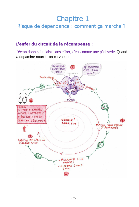 Capture-d-ecran-circuit-de-la-recompense