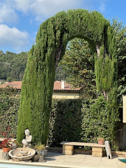 Taille en topiaire de 2 cyprès de provences
