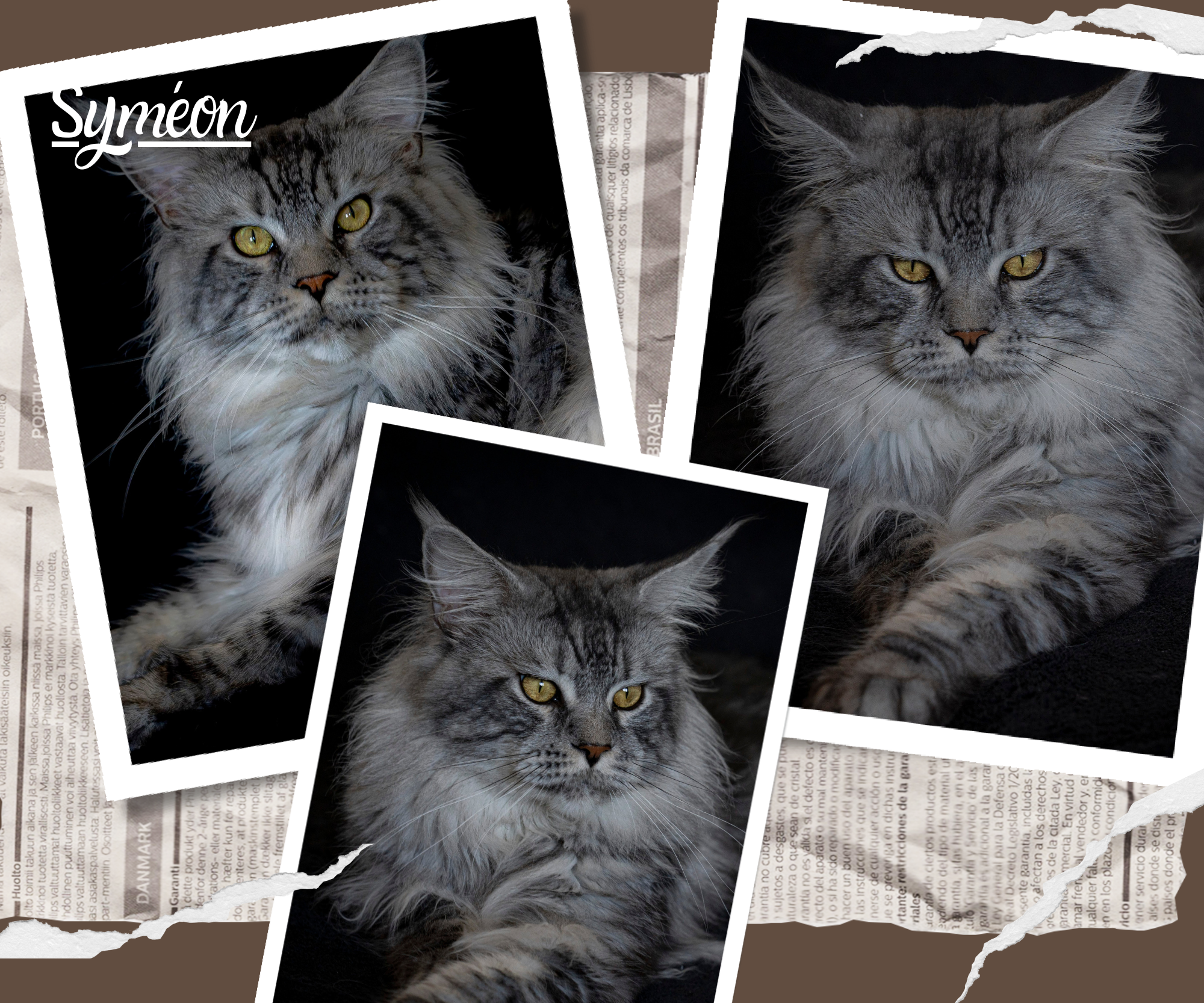 Symeon-Photo-Collage-1-