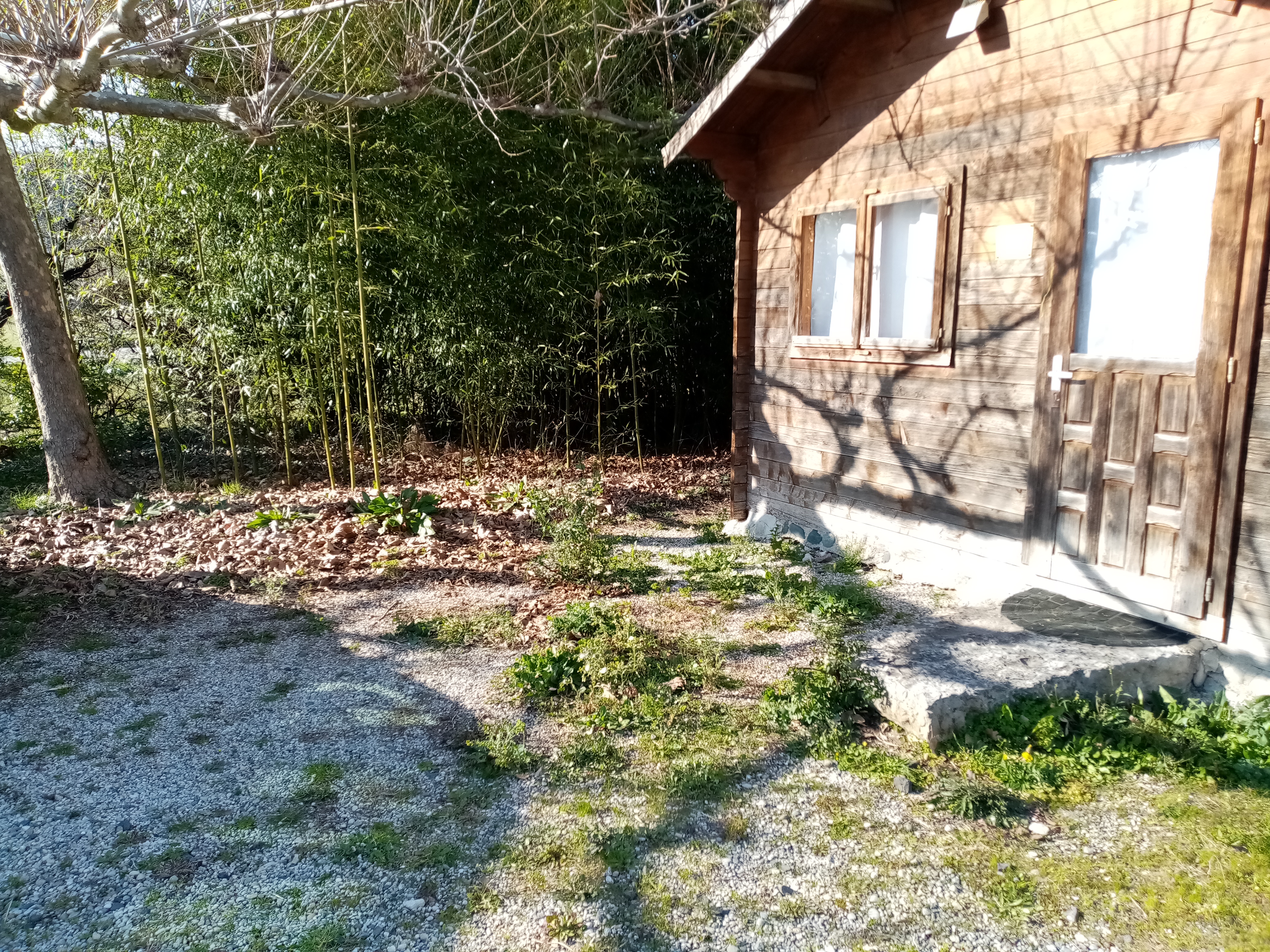 IMG 20240315 161220