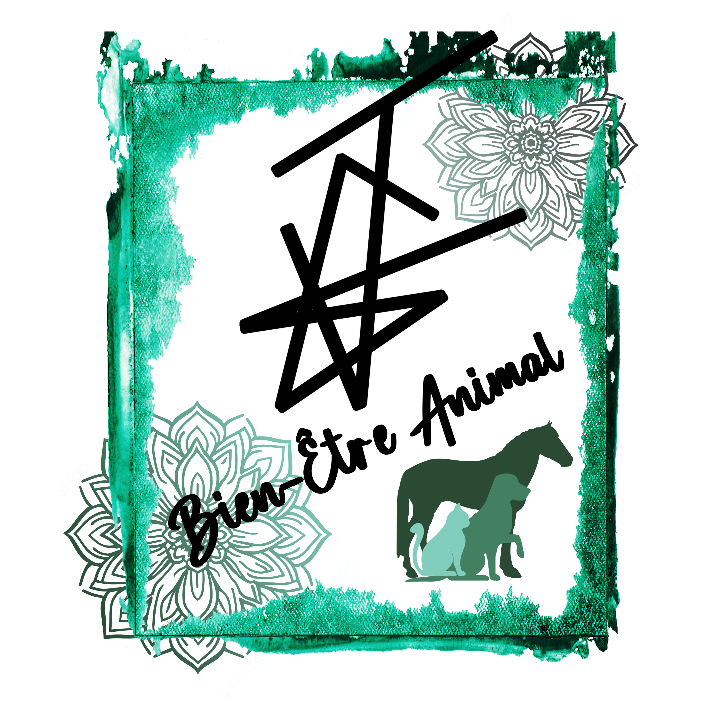 JG-Bien-Etre-Animal