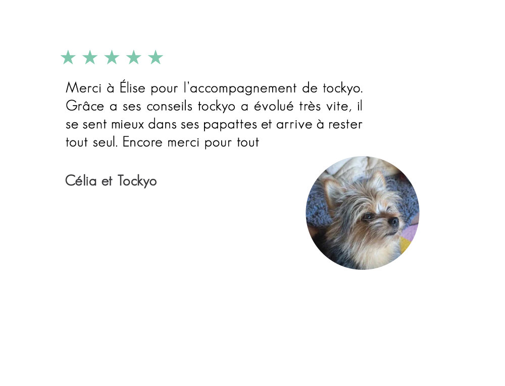 Tockyo