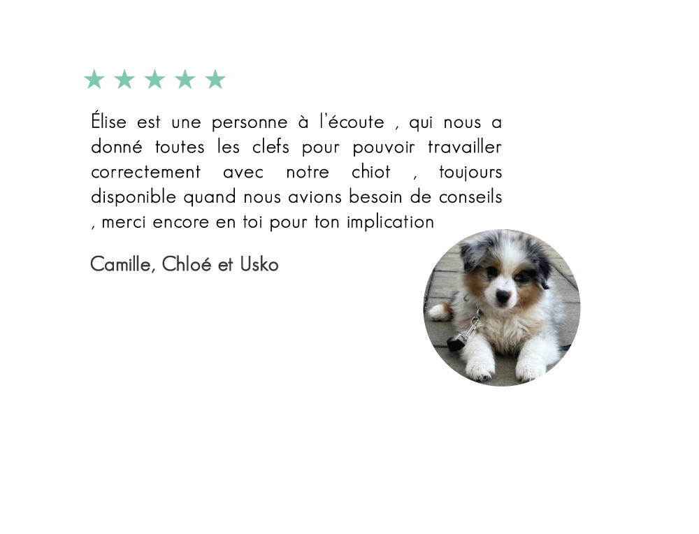 Usko