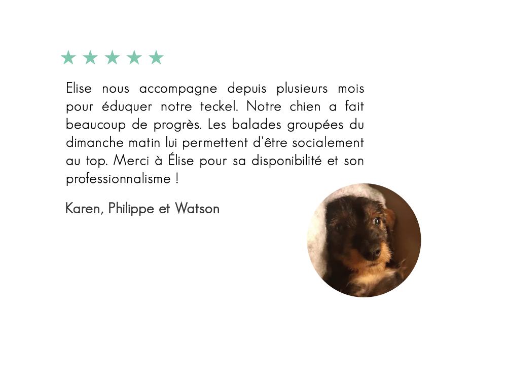 Watson
