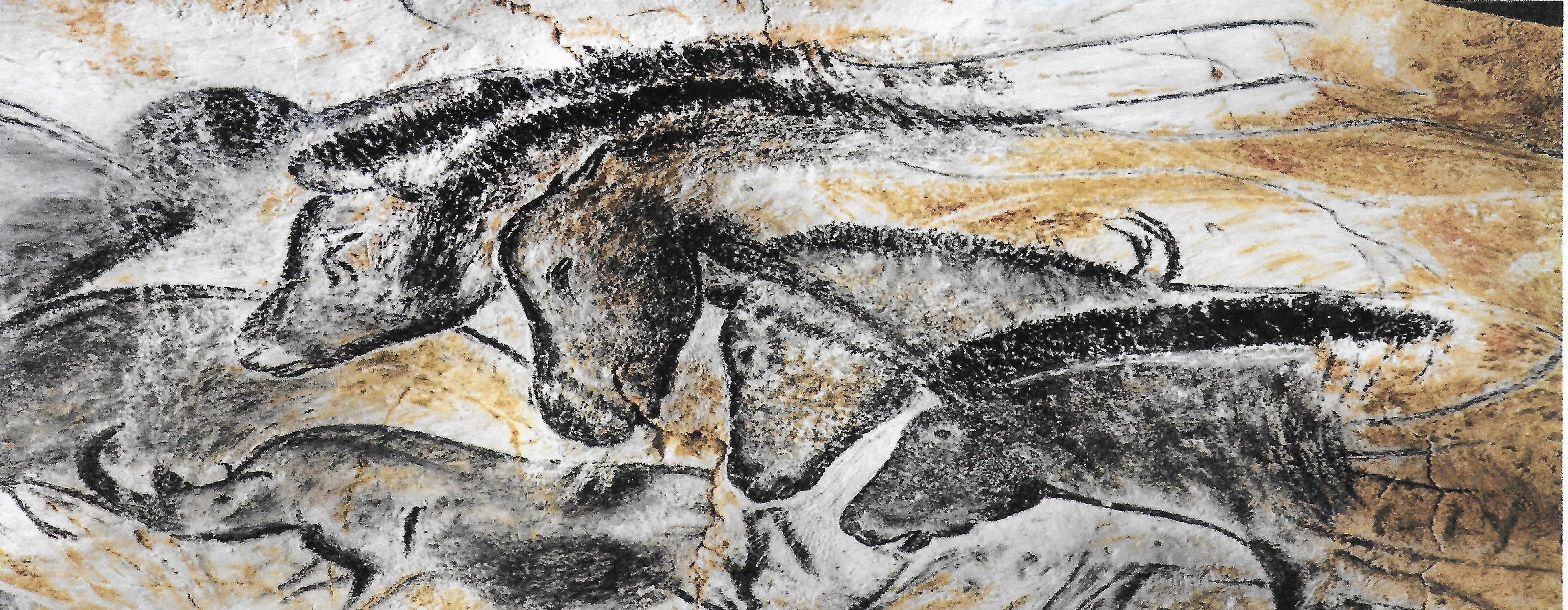 VISITE DE LA GROTTE DE LA MADELEINE ET DE LA GROTTE CHAUVET II