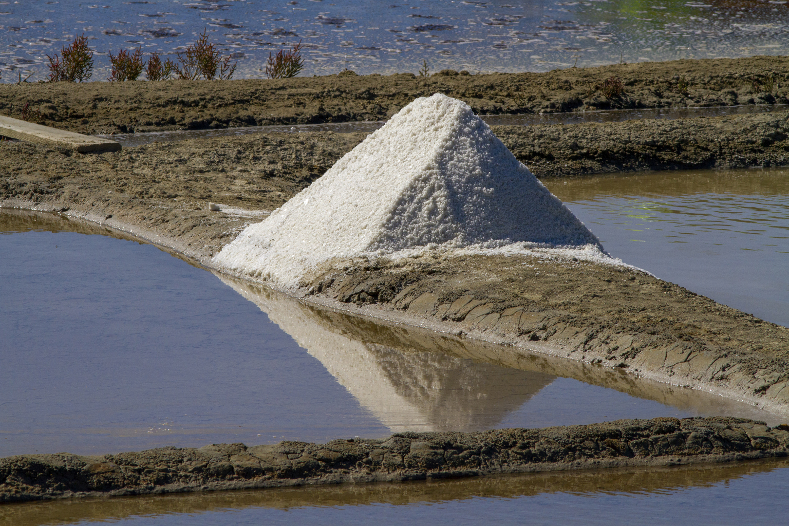 IMG 2020-Marais-salants