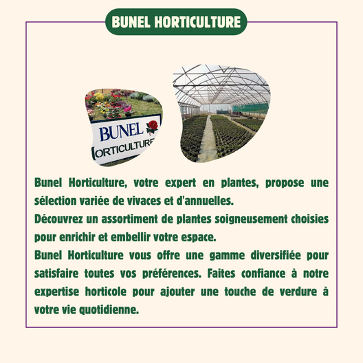 Bunel-Horticulture