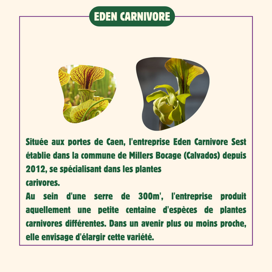 Eden-carnivore