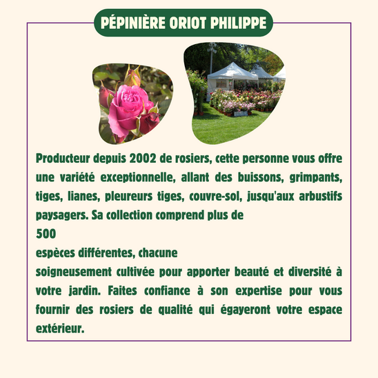 Pepiniere-oriot-philippe