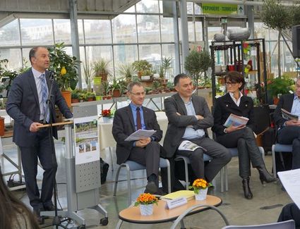 président
élu
vert
écologie
discours
arbre