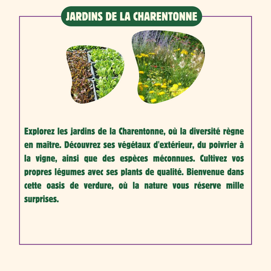 Les-jardins-de-la-charentonne-2-
