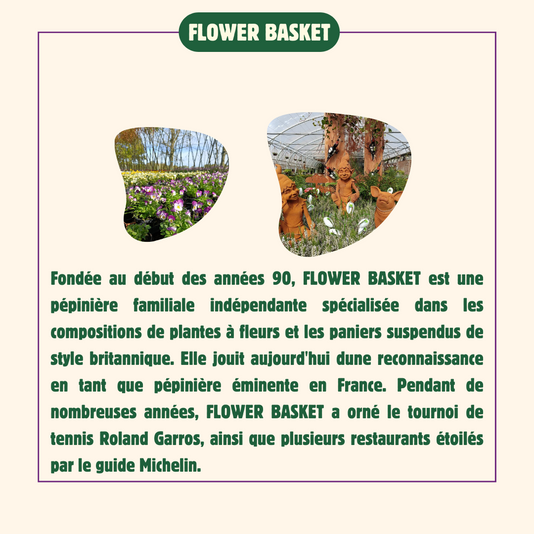Flower-basket