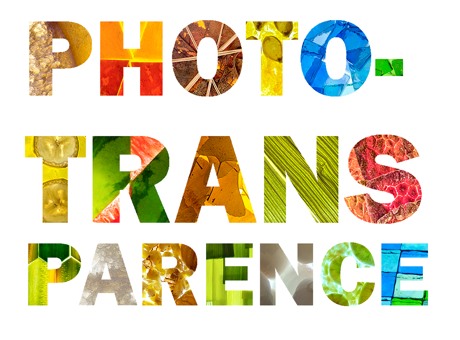 Logo 2