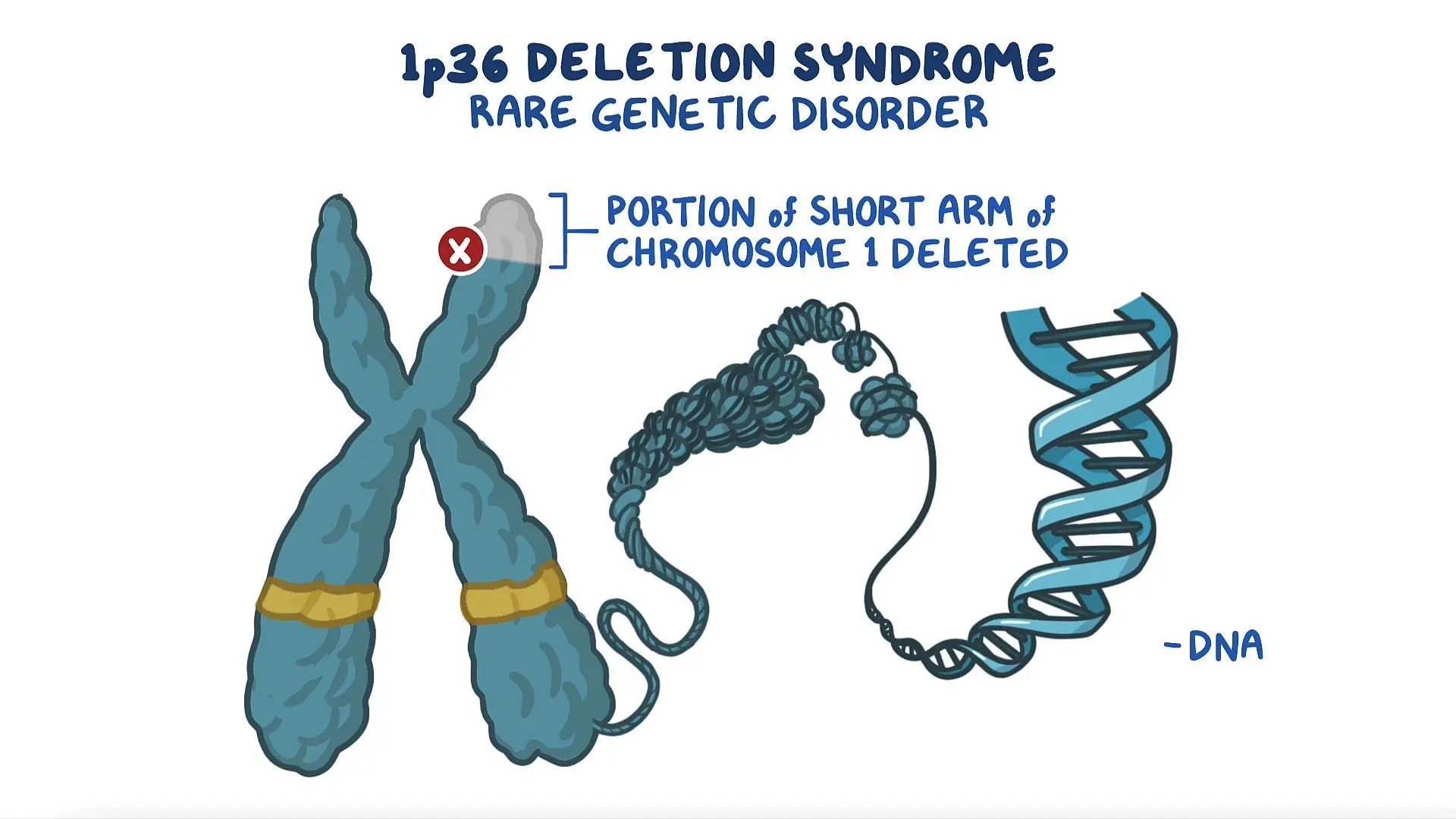 Deletion