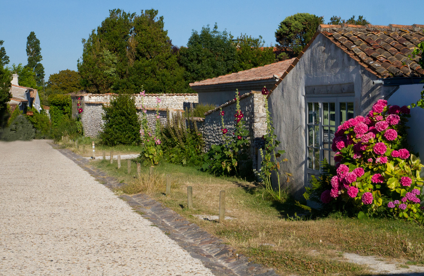 IMG 8767-Talmont-ruelle
