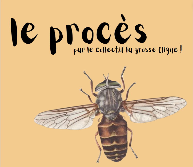 Le proce s cover