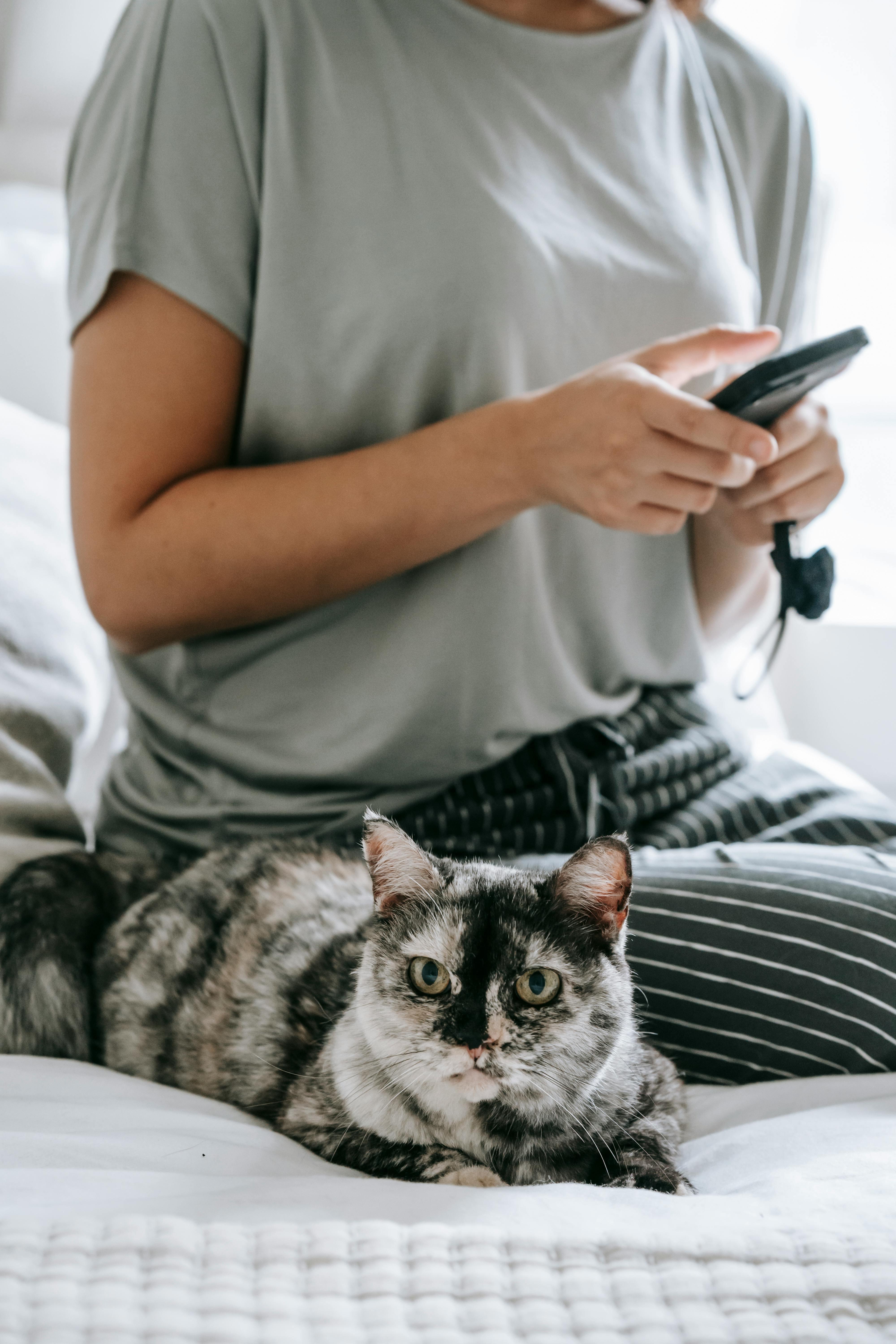 Pexels-sam-lion-6001410