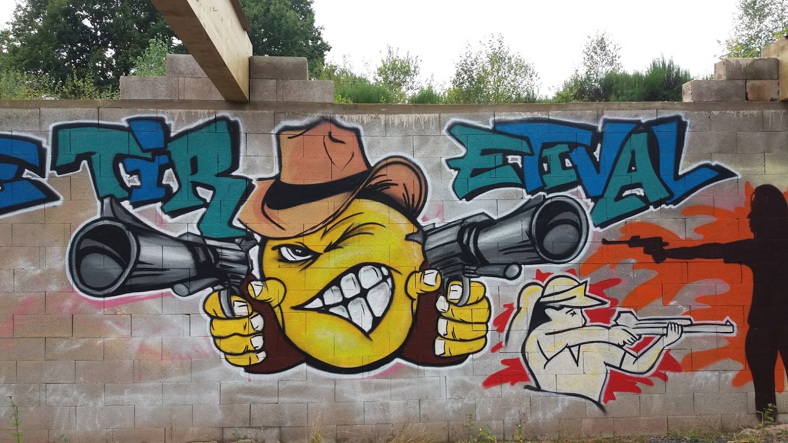 Mur 25m 2