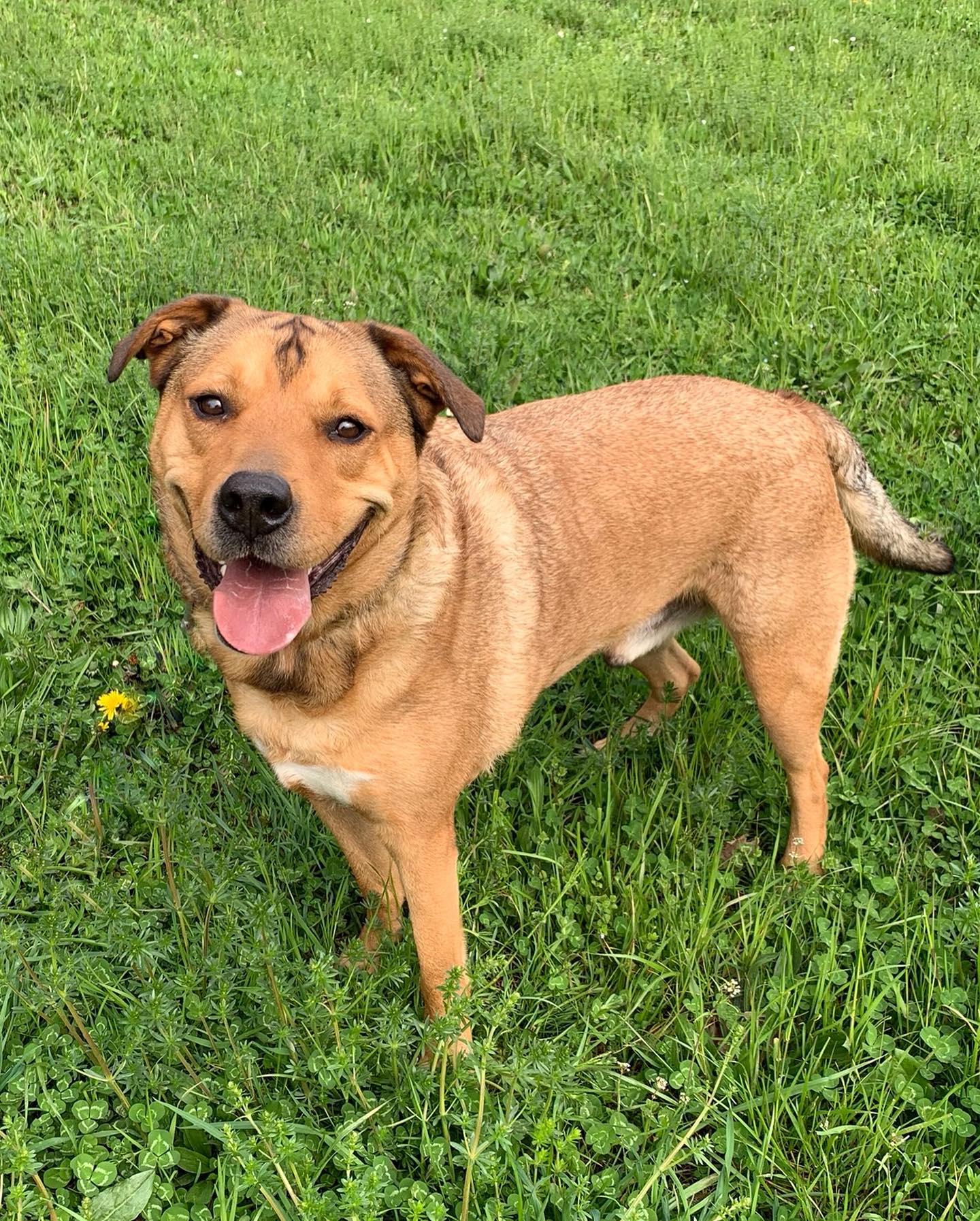 Tyson